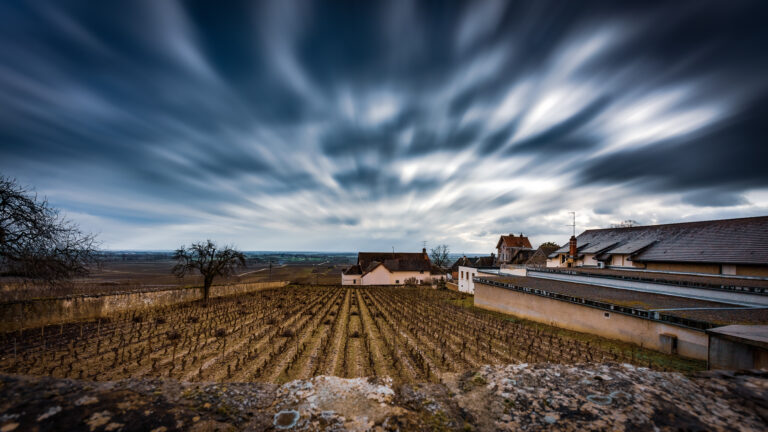 Stefaan Brodelet - Bourgogne-Wine-fields